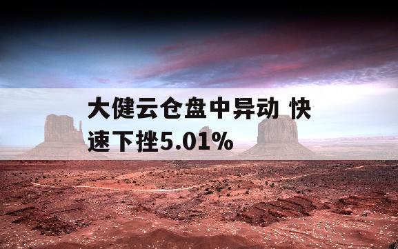 大健云仓盘中异动 快速下挫5.01%