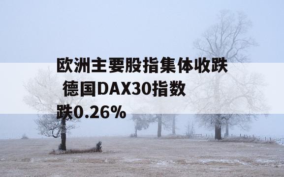 欧洲主要股指集体收跌 德国DAX30指数跌0.26%