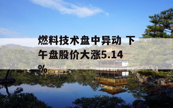 燃料技术盘中异动 下午盘股价大涨5.14%